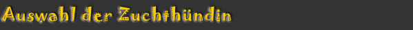 tblcontent content bild14